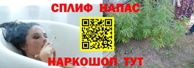 каннабис Аргун