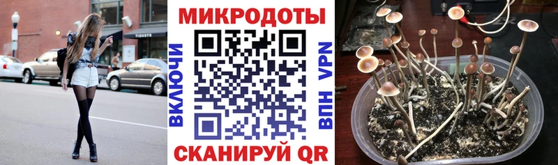 ОМГ ОМГ ССЫЛКА Балашиха Галлюциногенные грибы Cubensis купить наркотики сайты